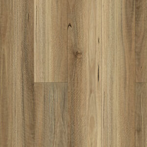 qld spotted gum op001 pioneer floors
