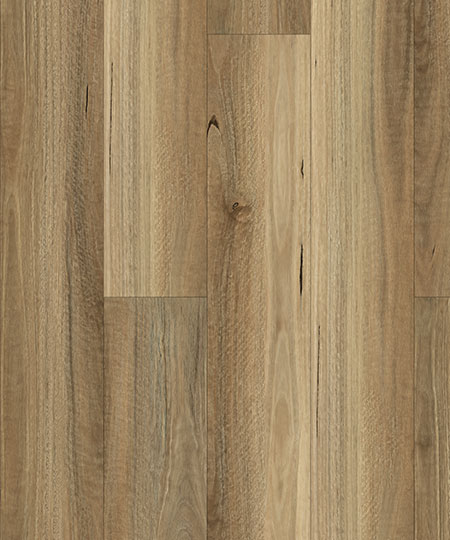 QLD SPOTTED GUM - 7.5MM OPTIMA HYBRID SPC - Pioneer Floors